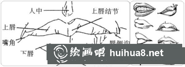 漫画人物嘴巴画法