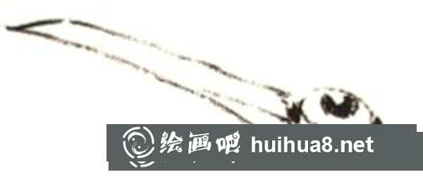 丹顶鹤的画法 丹顶鹤的画法