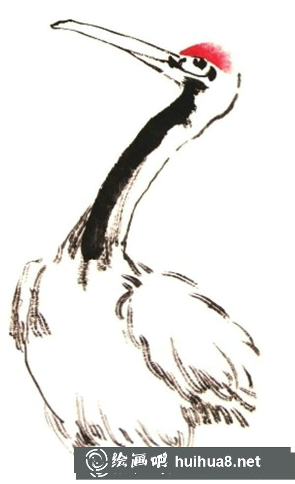 丹顶鹤的画法 丹顶鹤的画法