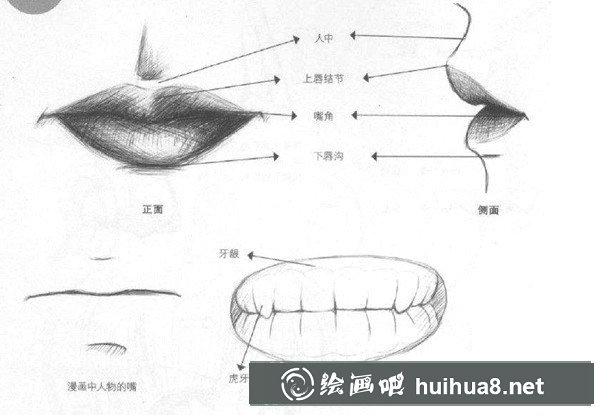 动漫嘴巴画法