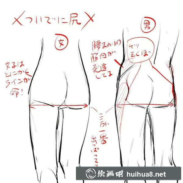 漫画中的可爱动物绘制技巧