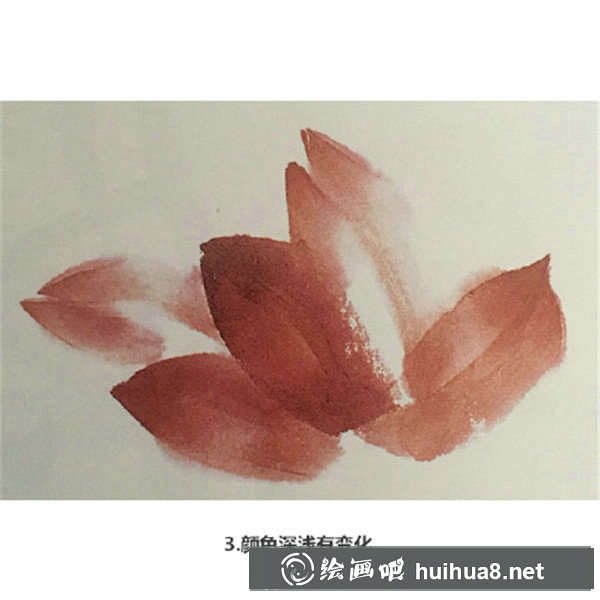 如何画国画荷花 如何画国画荷花