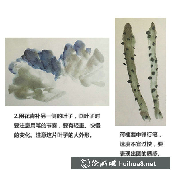 水墨画荷花画法 水墨画荷花画法