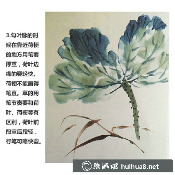 水墨画荷花画法 水墨画荷花画法