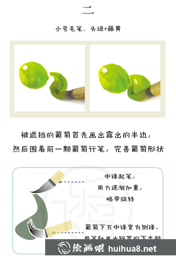国画葡萄的画法和步骤 国画葡萄的画法和步骤