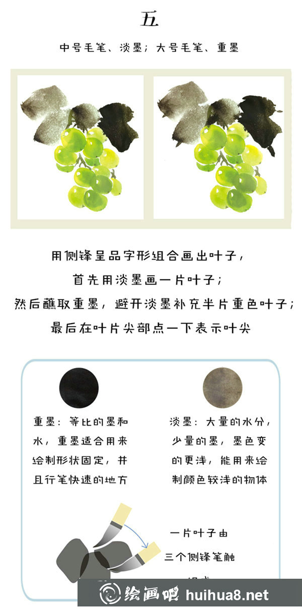 国画葡萄的画法和步骤 国画葡萄的画法和步骤