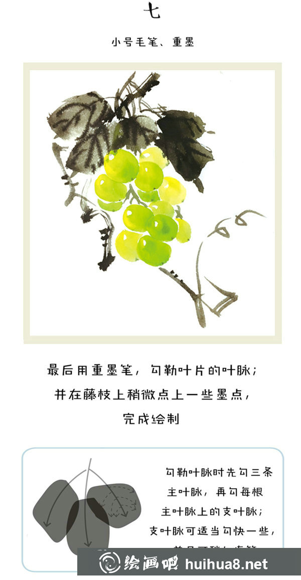 国画葡萄的画法和步骤 国画葡萄的画法和步骤
