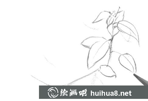 树叶速写画法第一步