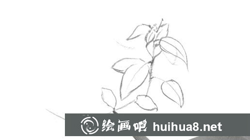 树叶速写画法第二步