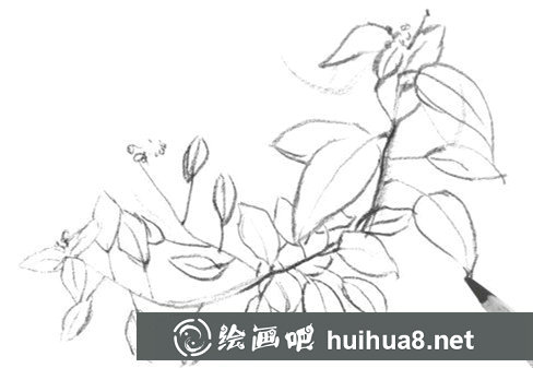树叶速写画法第三步