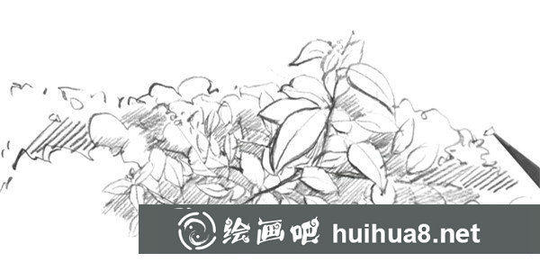 树叶速写画法第七步