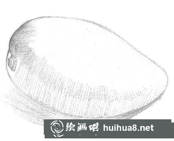 芒果的素描画法