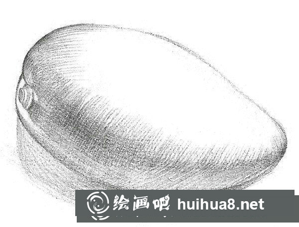 芒果的素描画法