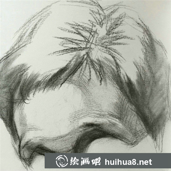 素描入门:头像素描额头的比例关系精讲教程 素描入门:头像素描额头的比例关系精讲教程