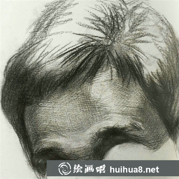 素描入门:头像素描额头的比例关系精讲教程 素描入门:头像素描额头的比例关系精讲教程