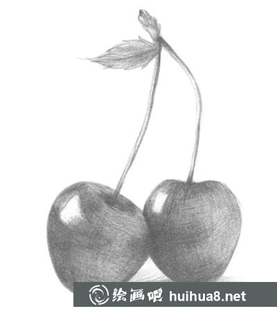 素描樱桃