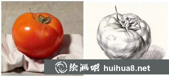 单体素描：蔬菜水果单体素描组合教程