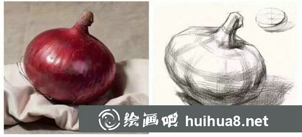 单体素描：蔬菜水果单体素描组合教程