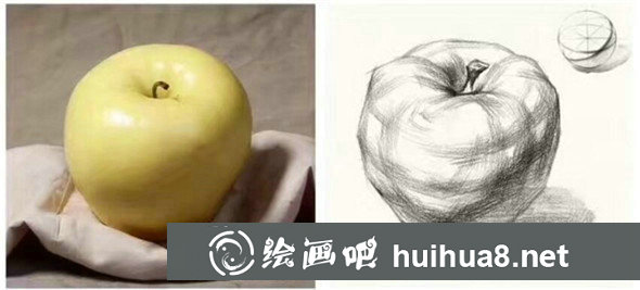 单体素描：蔬菜水果单体素描组合教程