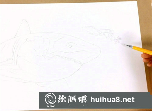 手绘可爱小熊轮廓