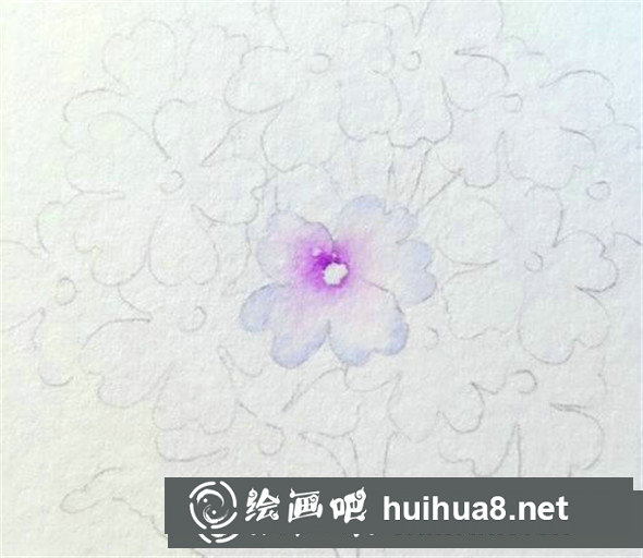 插画教程：手绘美女樱的画法