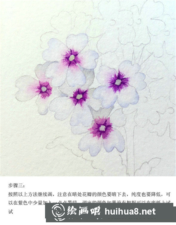 插画教程：手绘美女樱的画法