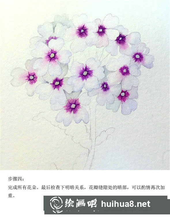 插画教程：手绘美女樱的画法