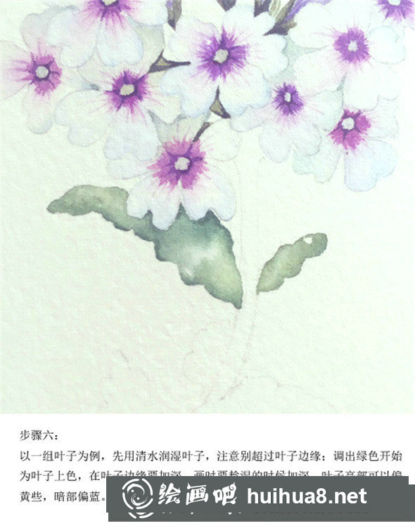 插画教程：手绘美女樱的画法