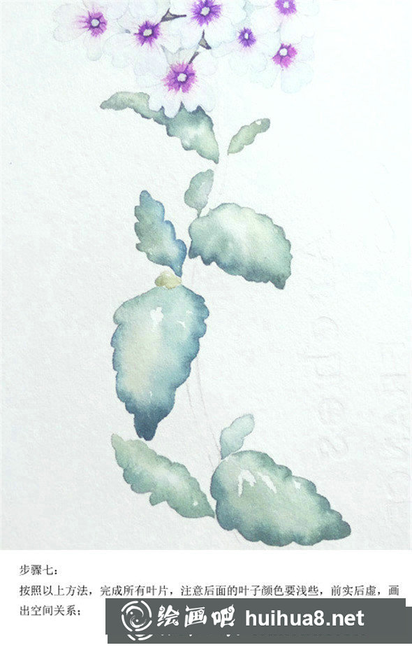 插画教程：手绘美女樱的画法