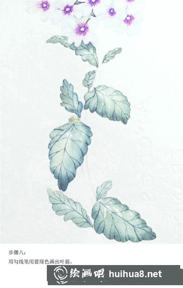 插画教程：手绘美女樱的画法