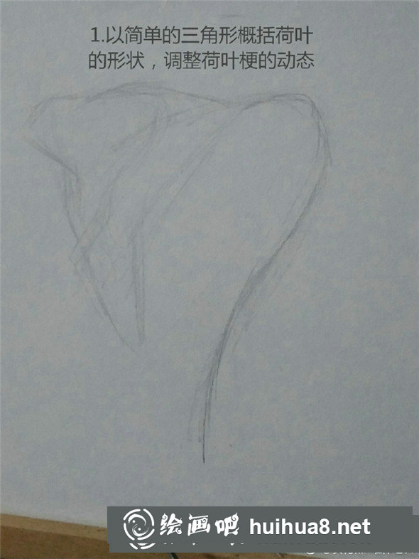 素描植物教程：荷叶的素描画法教学