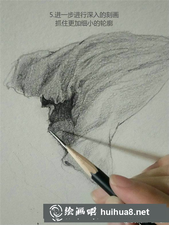 素描植物教程：荷叶的素描画法教学