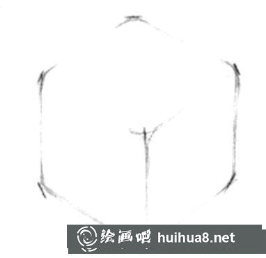 初学者画素描的步骤