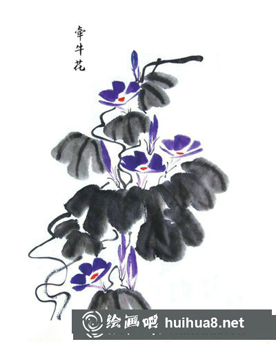 国画喇叭花的画法 国画喇叭花的画法