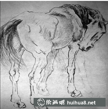 大师徐悲鸿素描作品