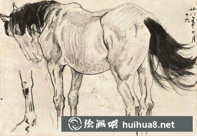 大师徐悲鸿素描作品