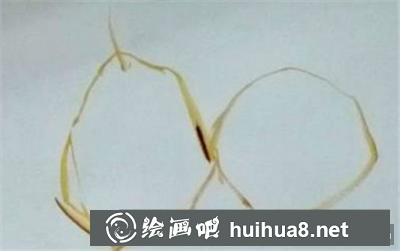 水果水粉画教程之怎么画雪梨
