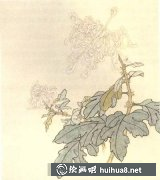 国画菊花教程入门步骤