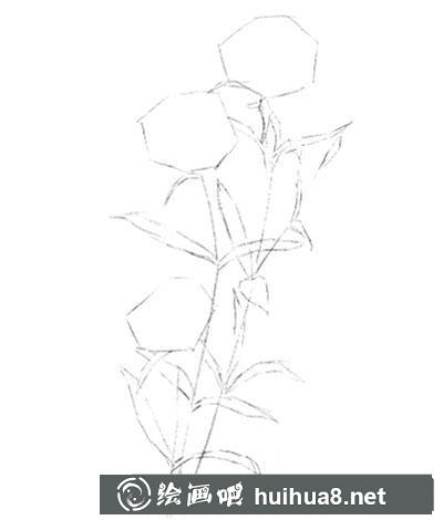 水粉画教程:怎么画石竹 水粉画教程:怎么画石竹
