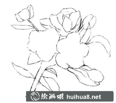 水粉画教程:海棠花的绘制步骤 水粉画教程:海棠花的绘制步骤