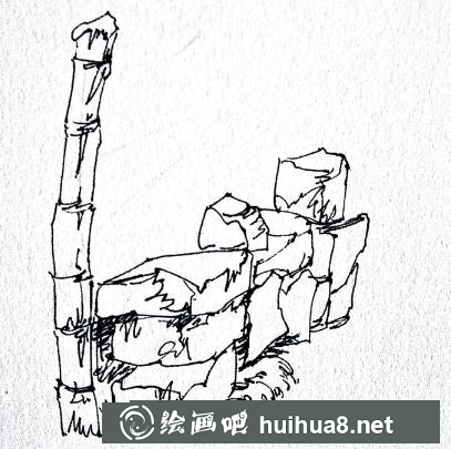 速写篱笆