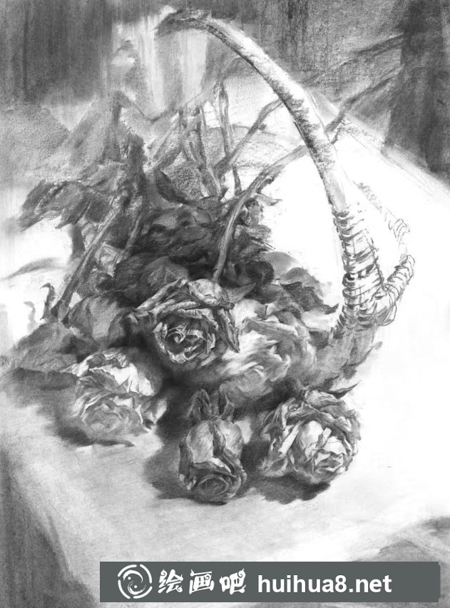 静物素描4