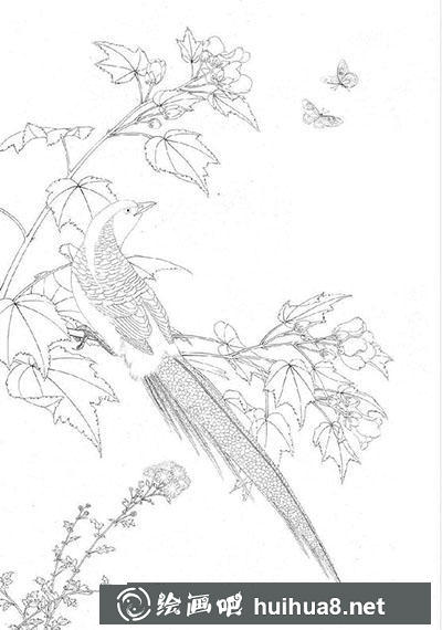 工笔画教程：怎么画《芙蓉锦鸡图》
