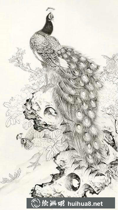 工笔画教程：怎么画《国色天香翠羽生辉》