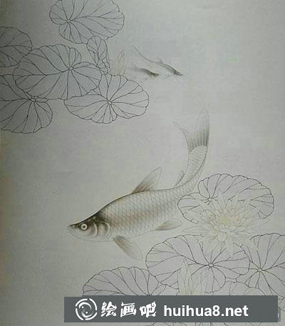 工笔画教程：怎么画《睡莲鲢鱼》