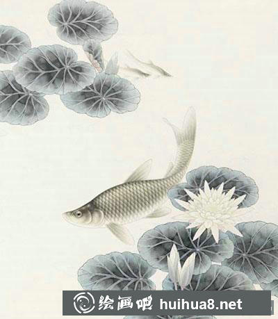 工笔画教程：怎么画《睡莲鲢鱼》