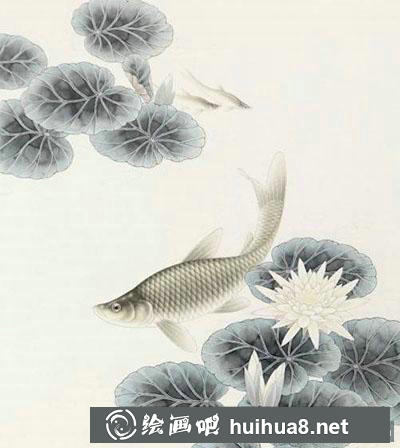 工笔画教程：怎么画《睡莲鲢鱼》