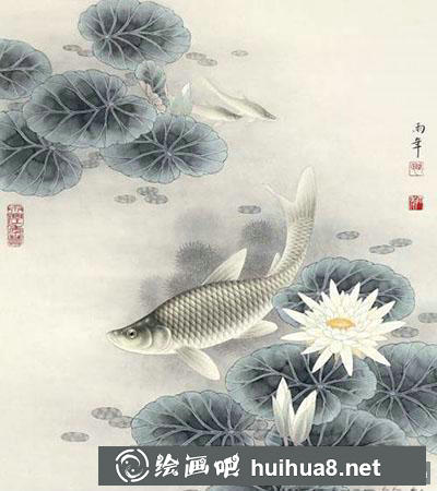 工笔画教程：怎么画《睡莲鲢鱼》