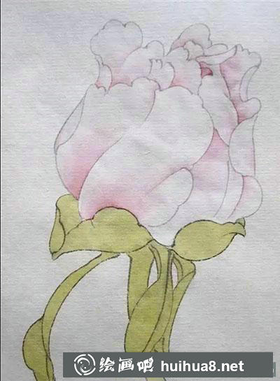 工笔画教程：怎么画牡丹花苞