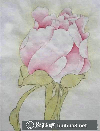 工笔画教程：怎么画牡丹花苞